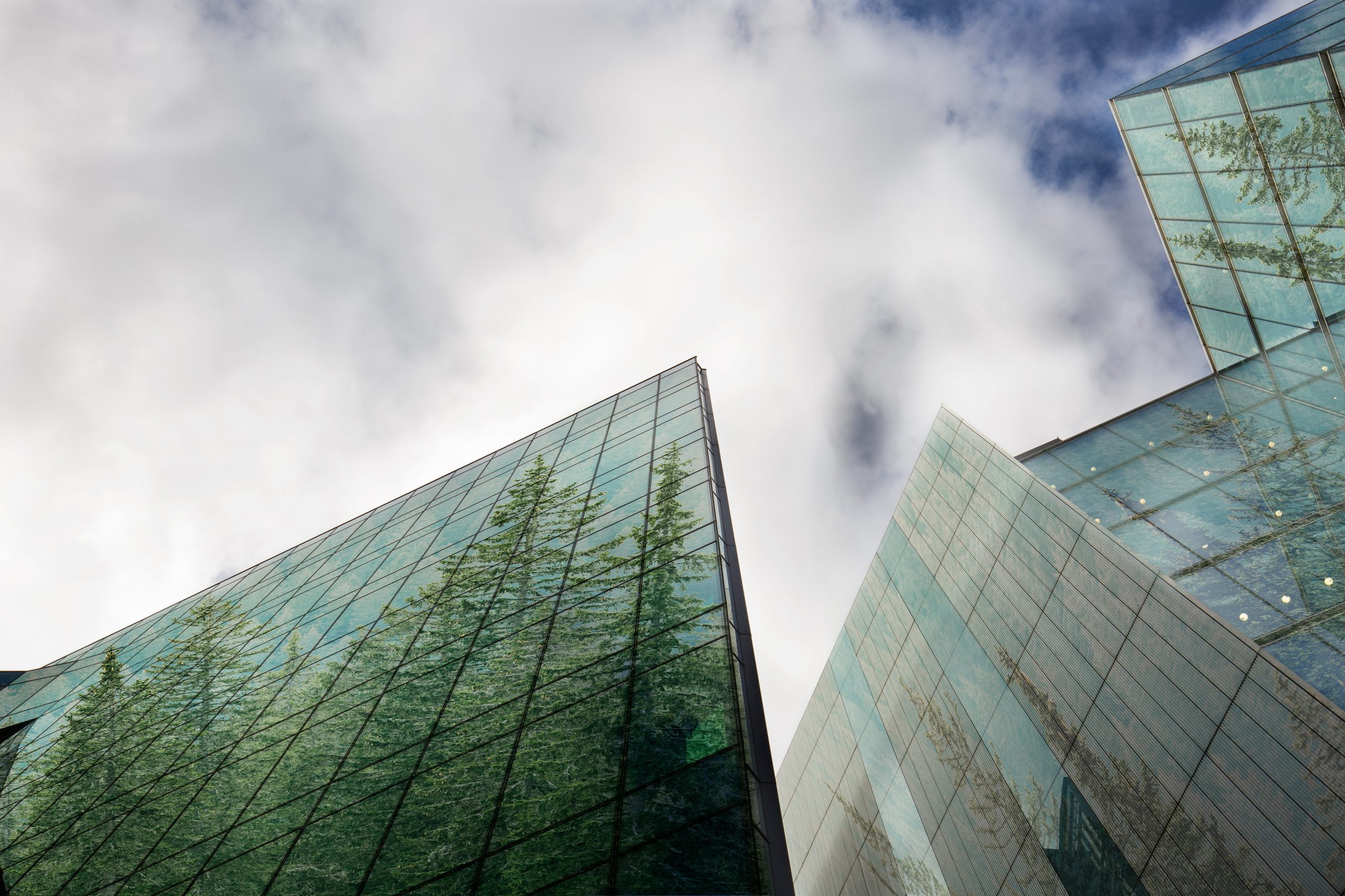 commercial-building-with-green-tree-reflections