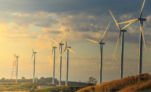 Landscape view of wind turbines