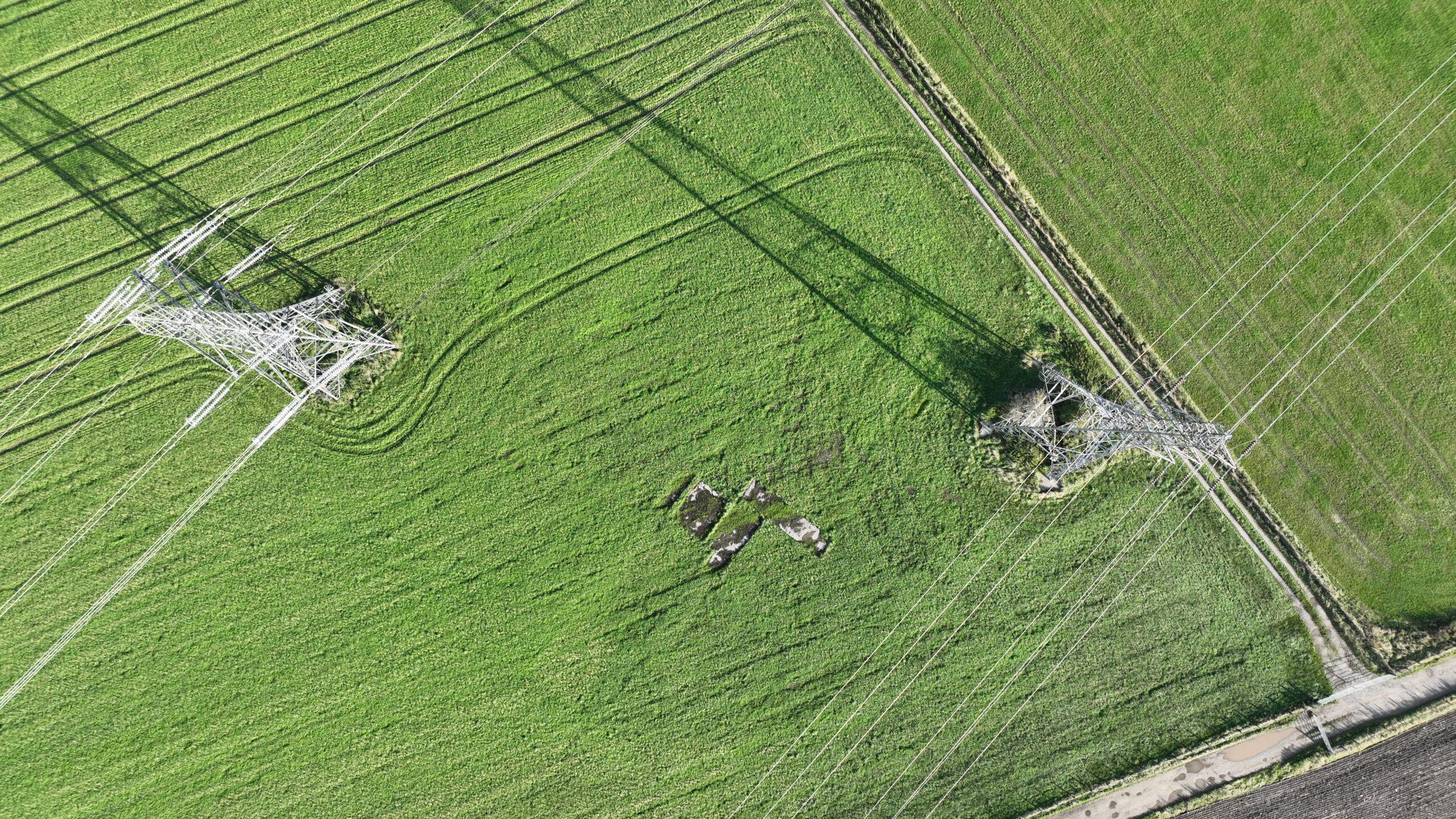 Pylons and fields - Ariel view