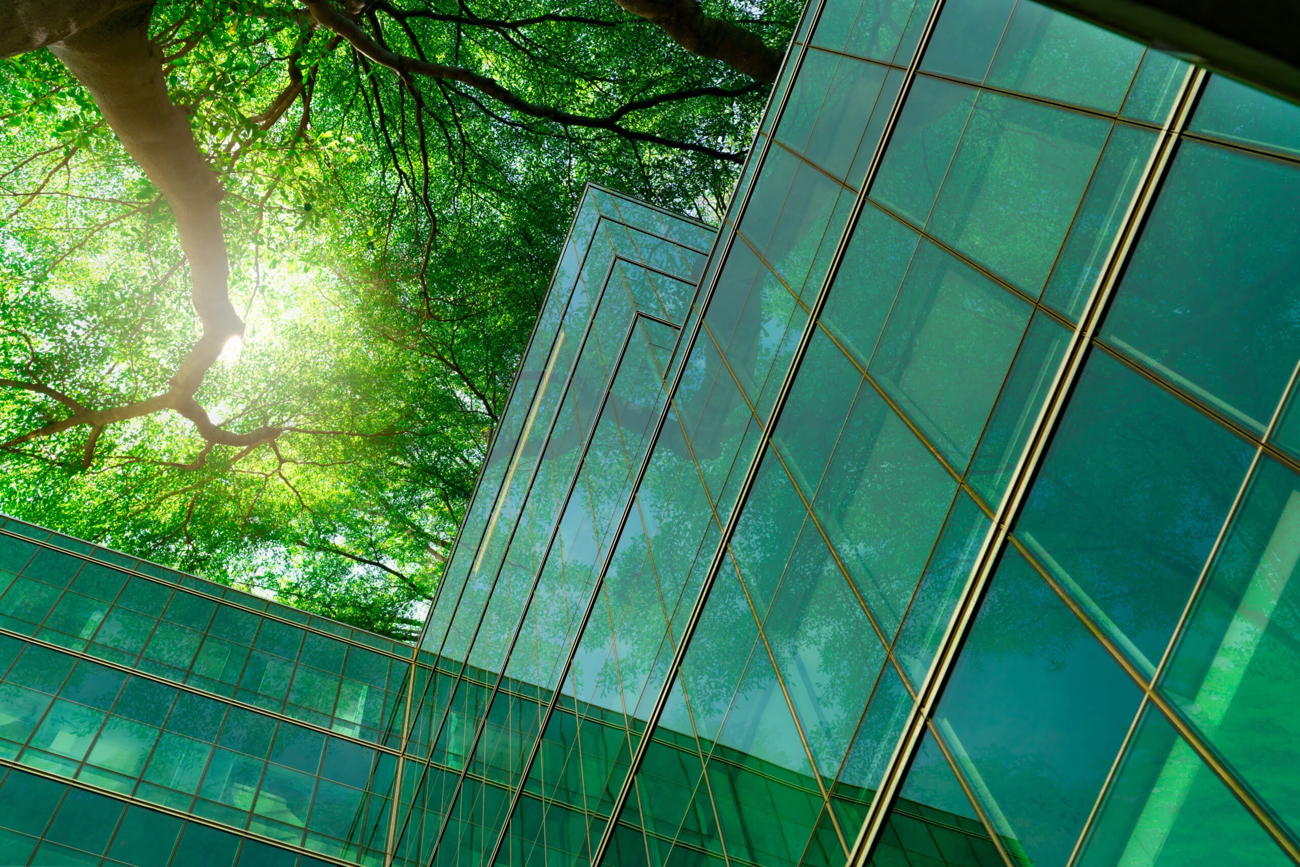 Greenery around modern building
