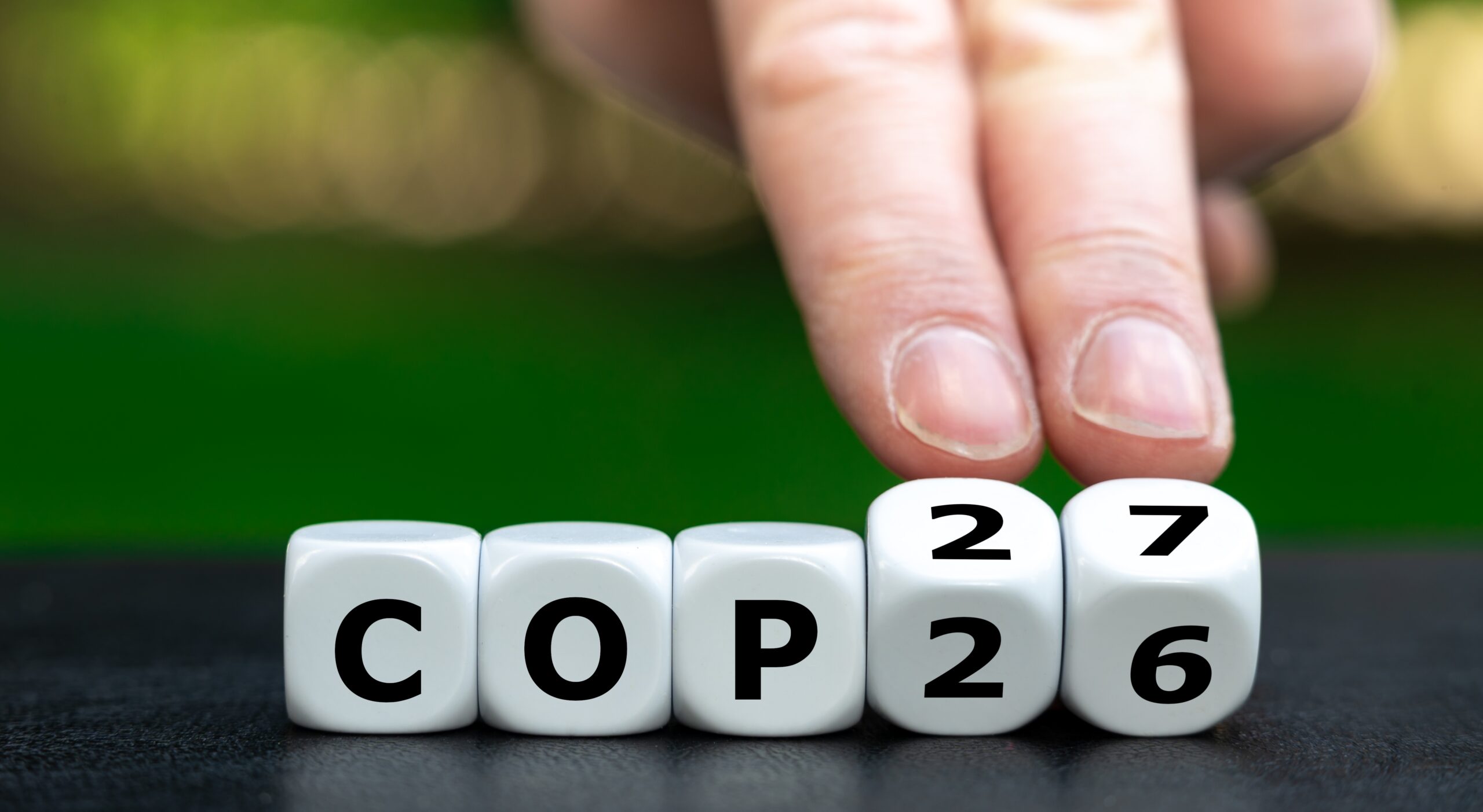 cop27