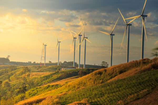 Landscape view of fields and wind turbines