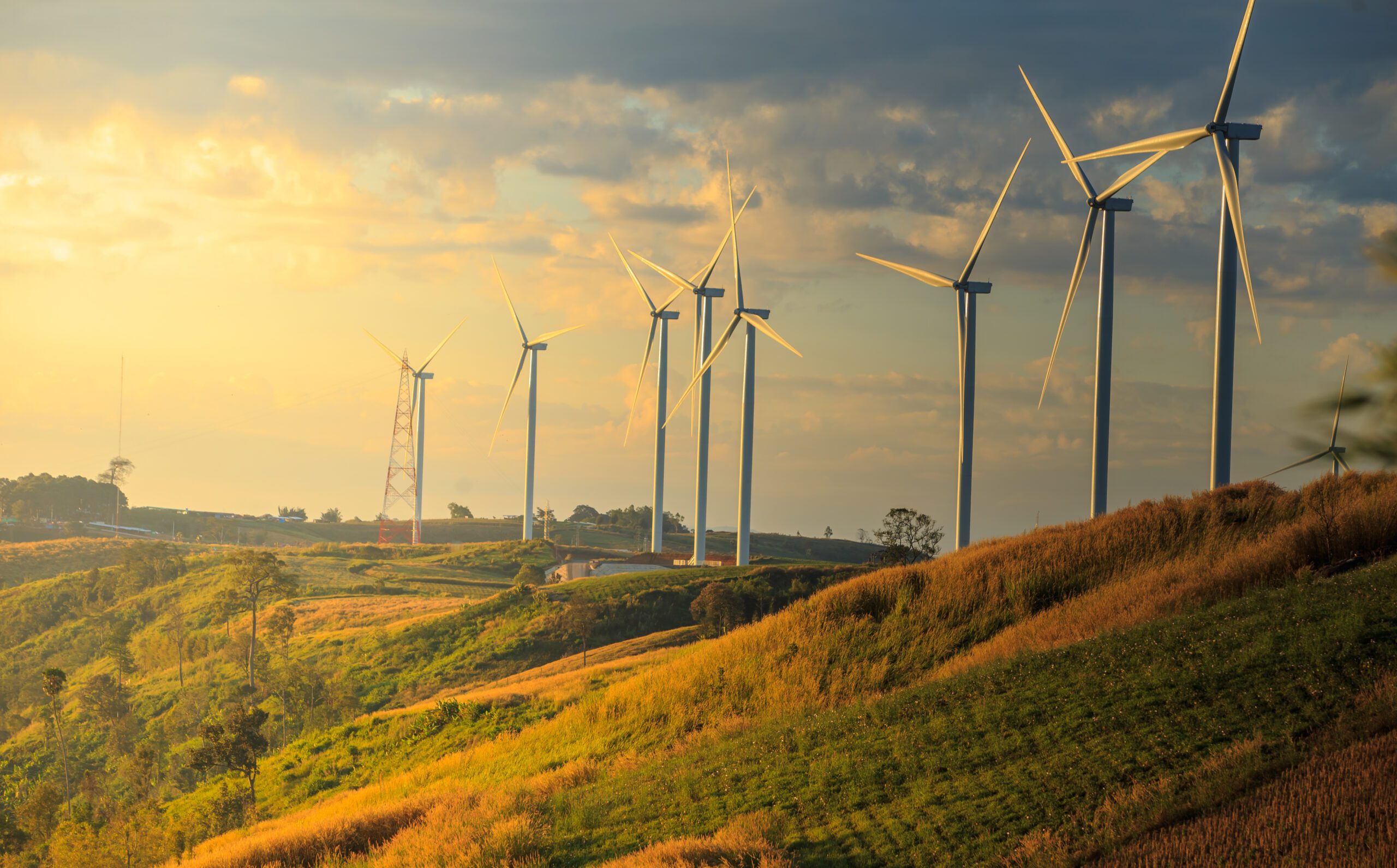 Landscape view of fields and wind turbines