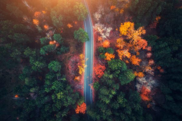 Aerial,View,Of,Road,In,Beautiful,Autumn,Forest,At,Sunset.