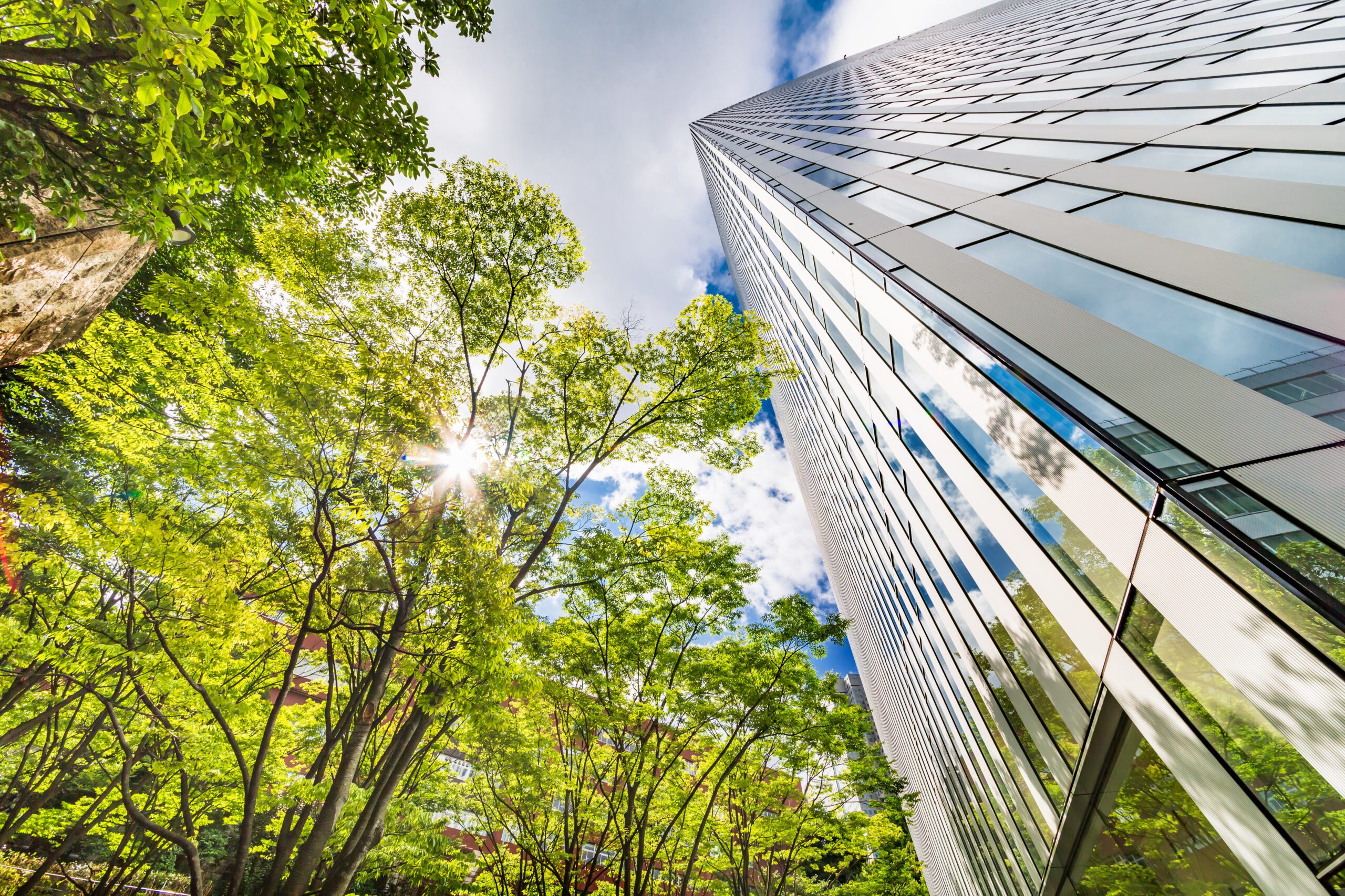 office-building-surrounded-by-trees