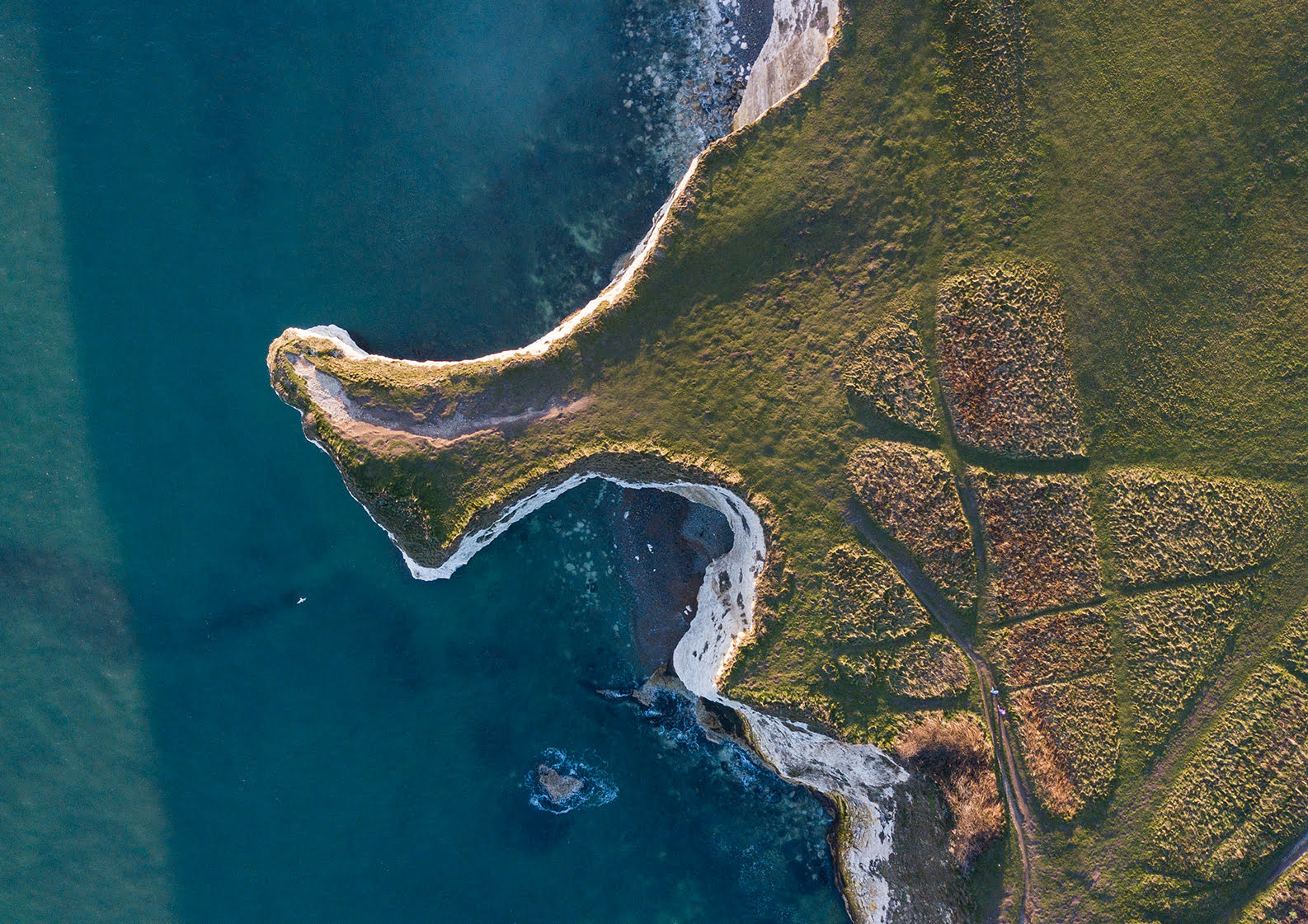 green-landscape-next-to-the-sea