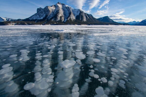 Image for Icy water and mountains surrounding