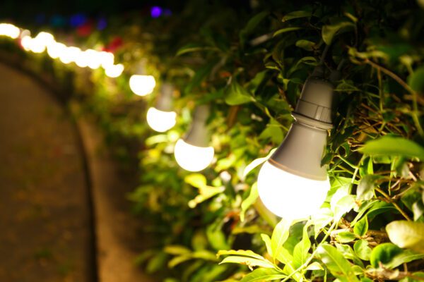 LED lightbulbs amongst trees