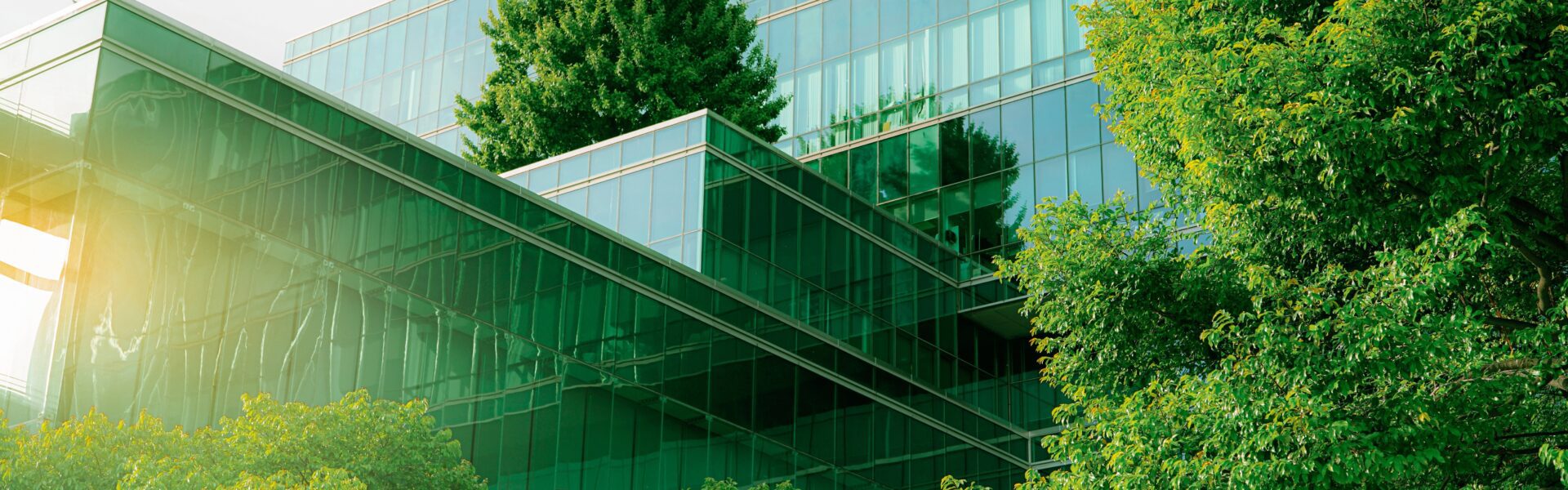 glass building surrounded by trees