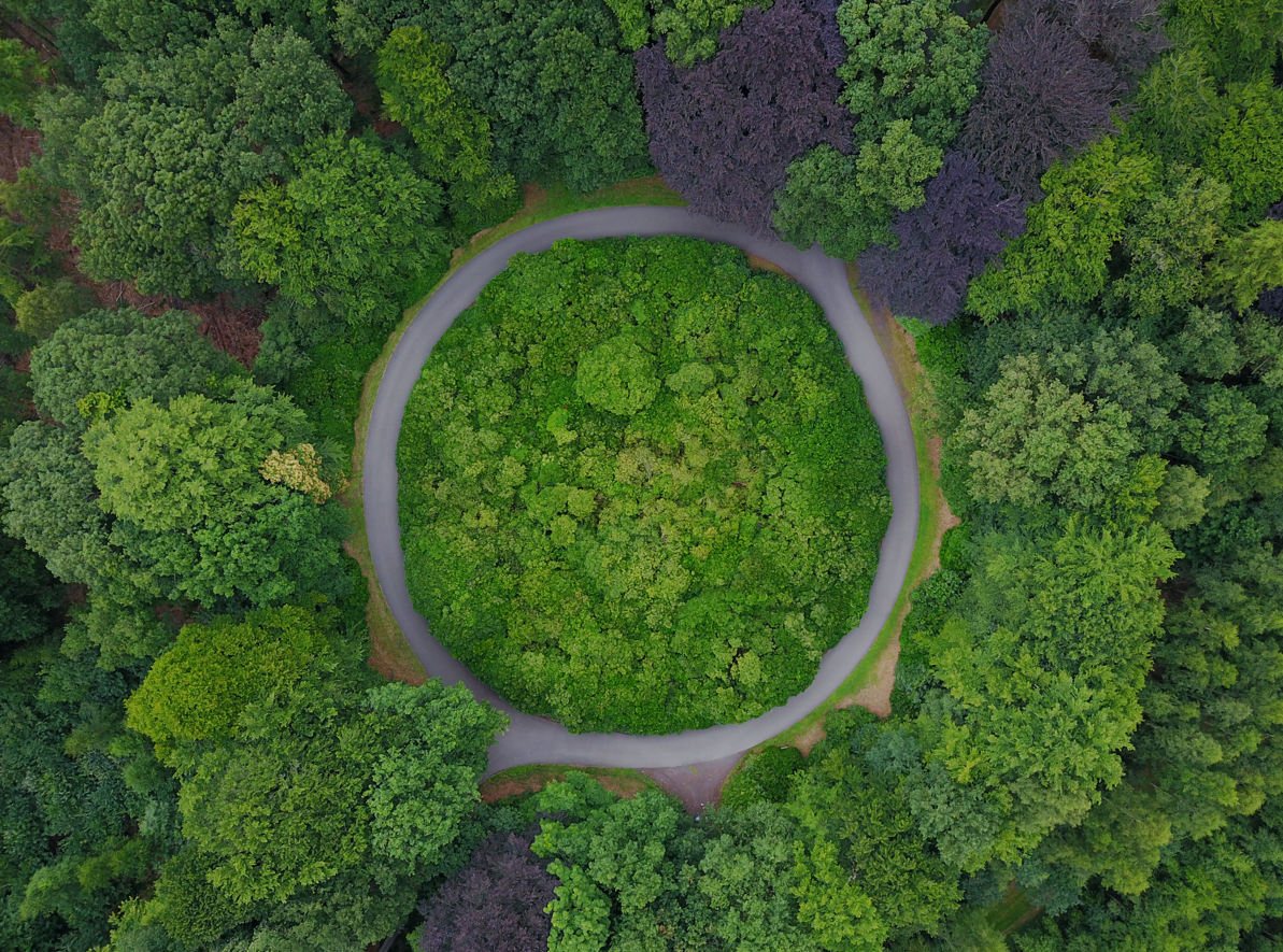 Roundabout in the middle of trees showing different routes