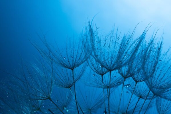 Image for Environmental, Social and Governance (ESG) investing