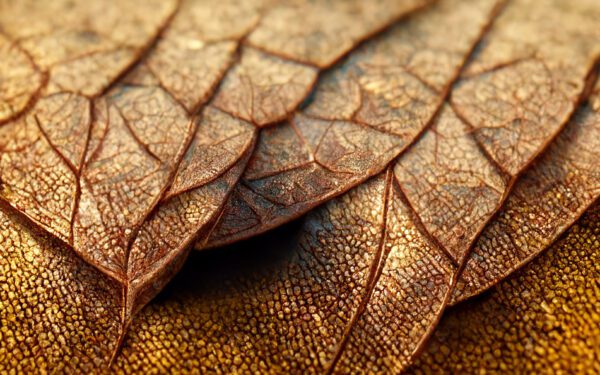 Image for Bill validation check