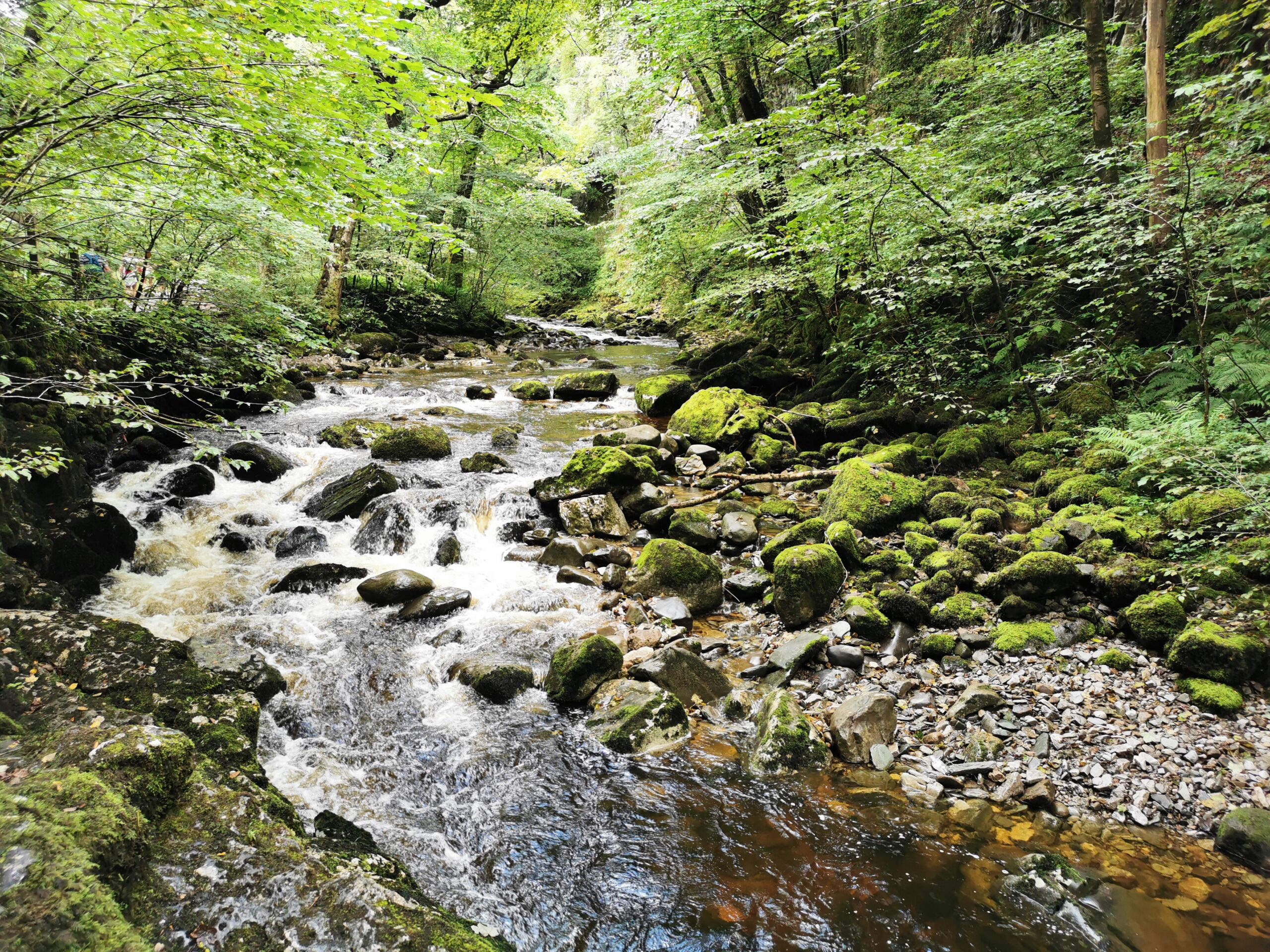 Independent Water Commission launches call for evidence - Inspired