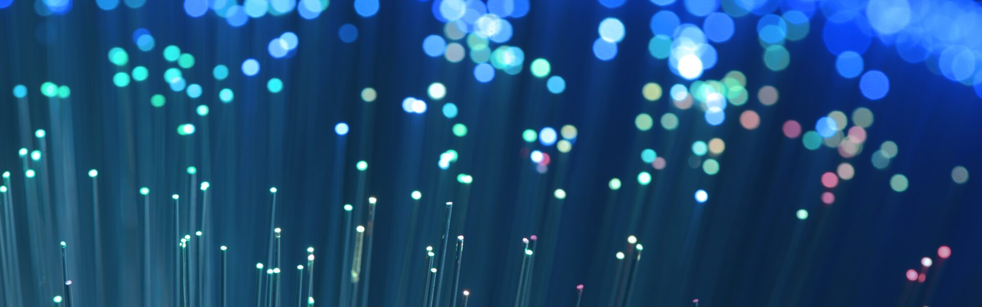 Close-up of fibre optic cables with bright blue, green and pink light points.
