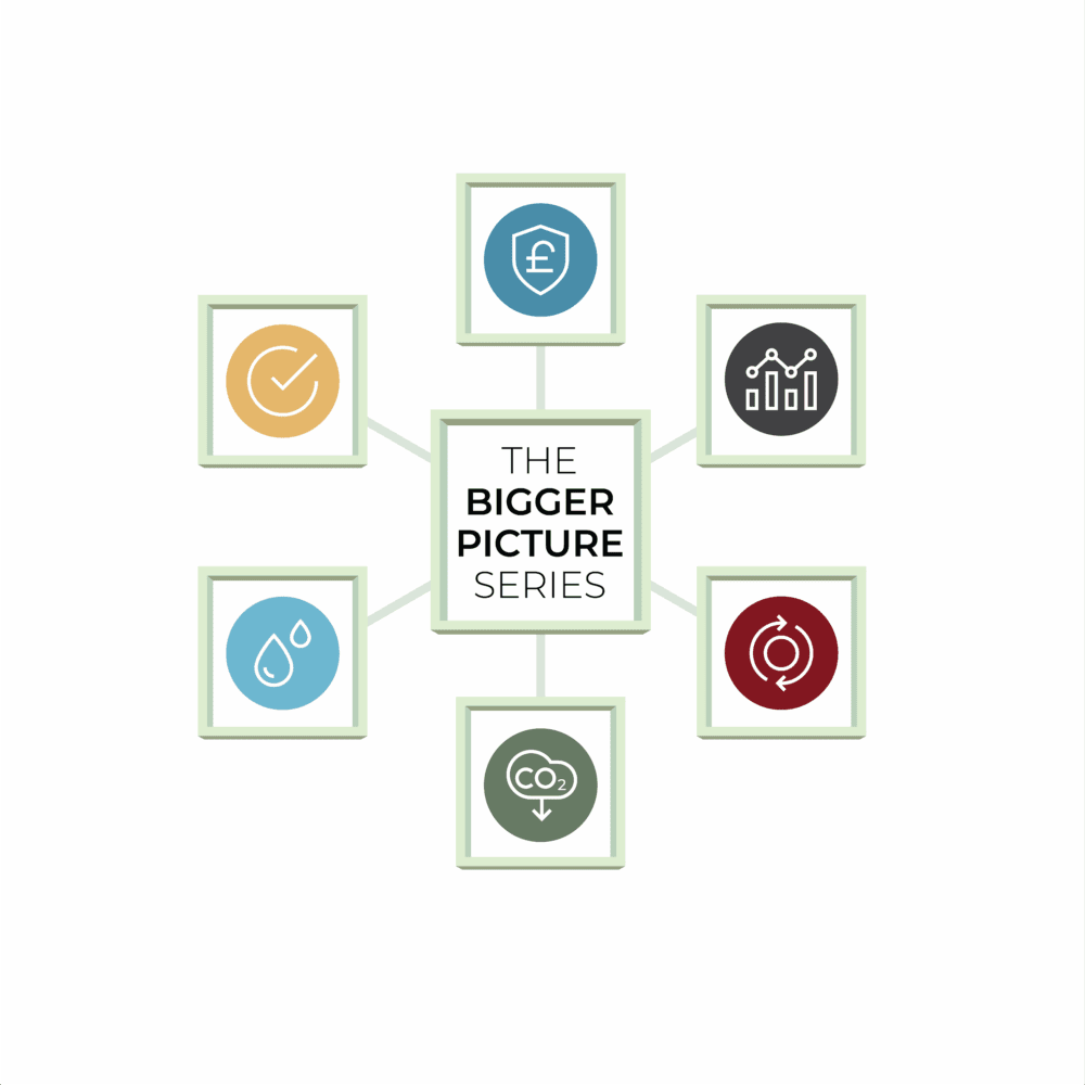 Bigger Picture Series- white - icons