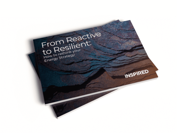 From Reactive to Resilient guide mockup.