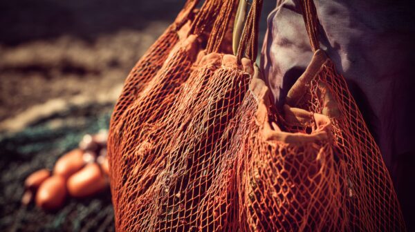 Image for Close up of orange netting bag with food waste and soil in the background