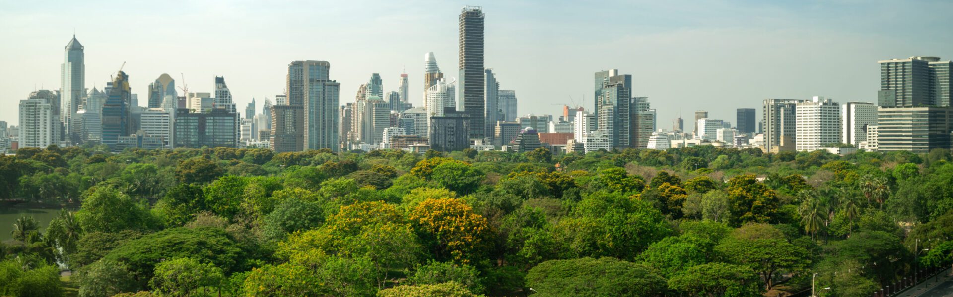 City landscape with green trees at the forefront
