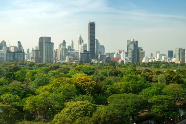City landscape with green trees at the forefront