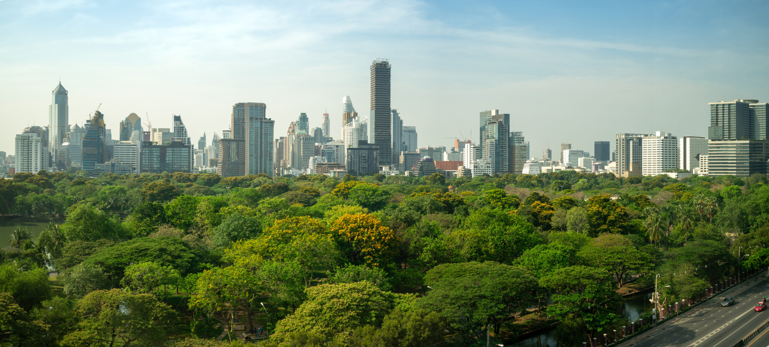 City landscape with green trees at the forefront