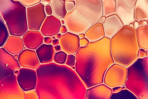 Feature image Squared stain glass patterns in purple and yellow. (Source: AdobeStock.)