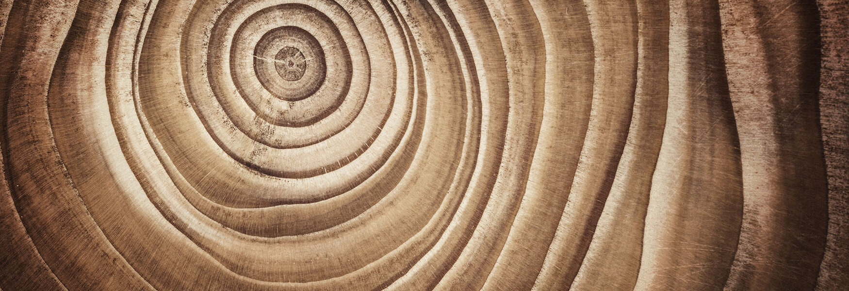 Circular tree pattern (Source: AdobeStock)