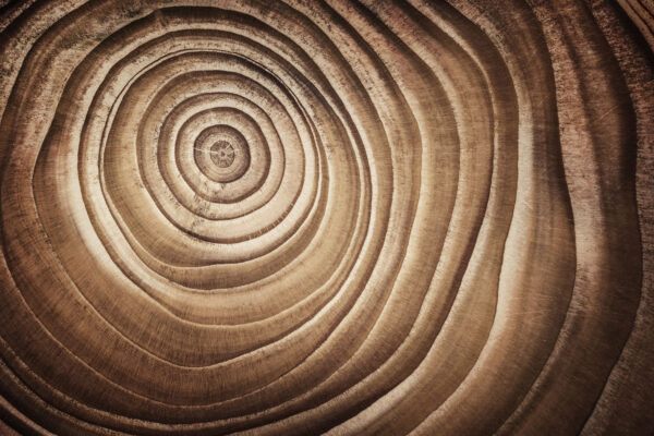 Circular tree pattern (Source: AdobeStock)